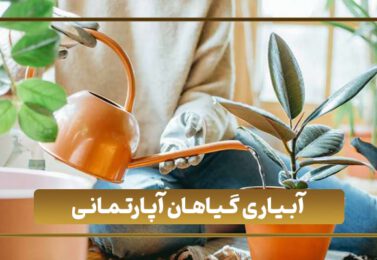 آبیاری گیاهان آپارتمانی