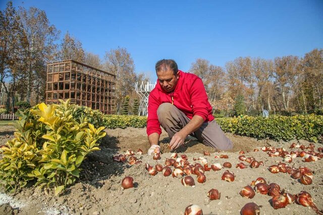 جشنواره لاله‌های کرج