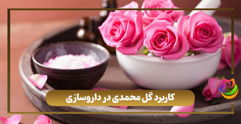 کاربرد گل محمدی در داروسازی چیست؟