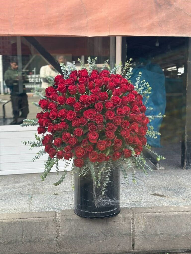 گل رز هلندی