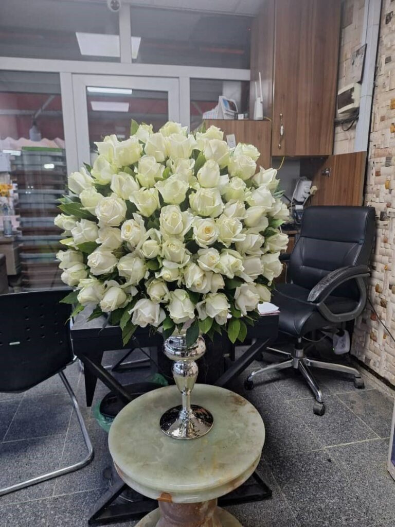 گل رز هلندی